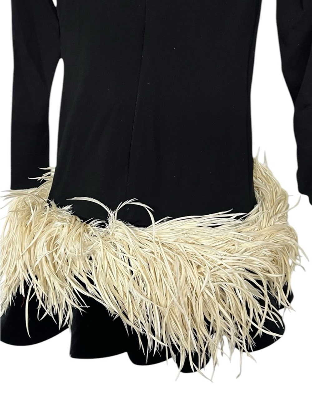 Christian Soriano Long Sleeve Dress With Velvet Ruffle Hem And Feathers Runway - Picture 6 of 12